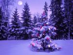 xmas tree
