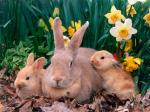 easter 3